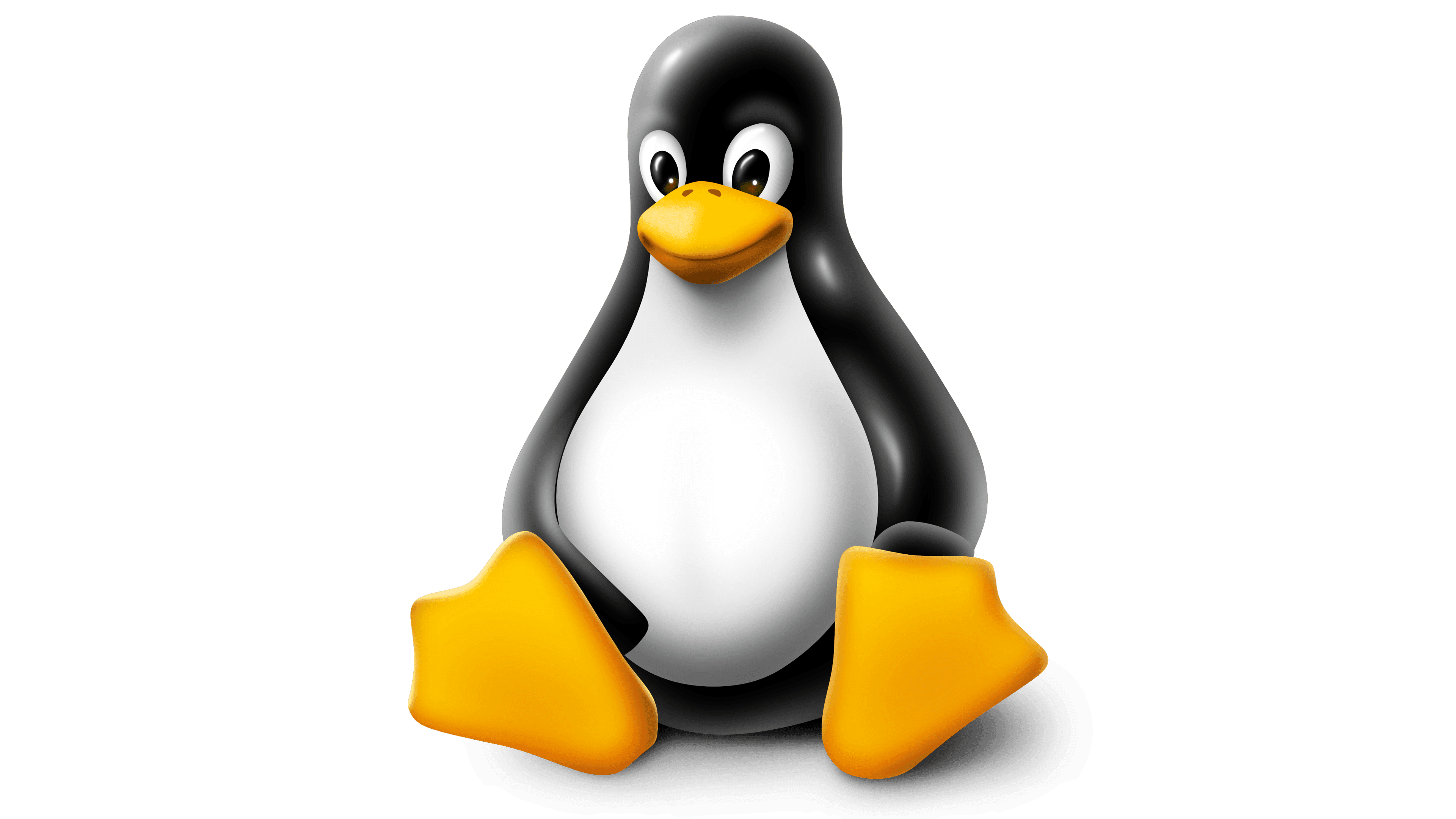 嵌入式 Linux 启动过程概述